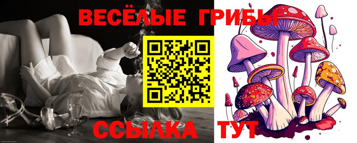 где купить наркоту  Галлюциногенные грибы Magic Shrooms  Вход с VPN  Сафоново 